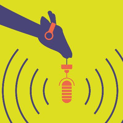 Poolstok podcast: Evidence based selecteren