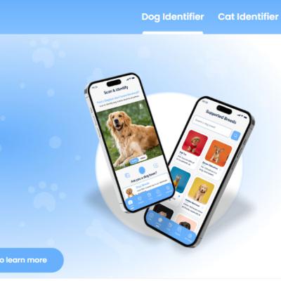 Dog Identifier Tool to help identify your pet with AI