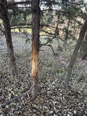 EP. 470: Why You Feel Stuck In Your Hunting