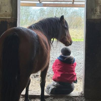 Malthe og mig: Samtaler med min hest med Jacqueline Tversted