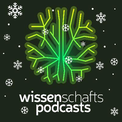Vorschau zur #WissPodWeihnacht: 24 Podcasts in 24 Türchen