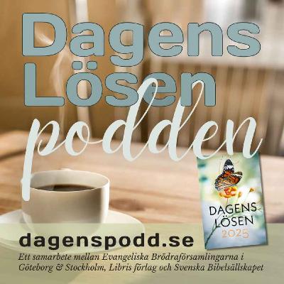 Dagens Lösen 2025 | Söndag 2 november | Söndag efter alla helgons dag