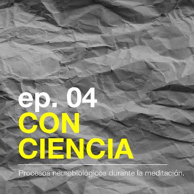Episodio 04 - Procesos neurobiológicos que ocurren durante la meditación.