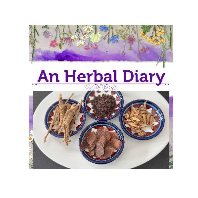 Stress Relief from Adaptogens and How Herbs Can Do This
