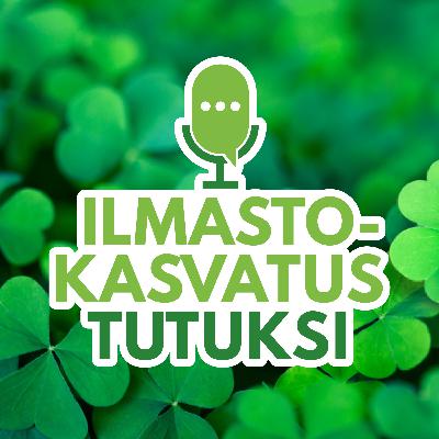 Jakso 8: Haasteet ja esteet