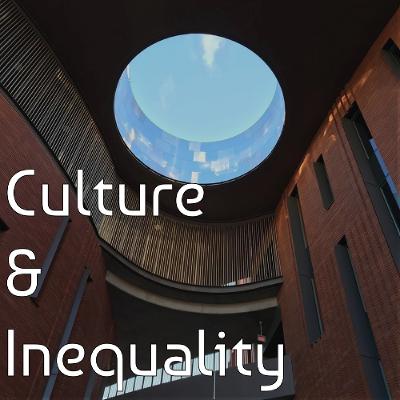 Beauty, Botox, Boundaries: Aesthetic Medical Procedures and Social Inequality