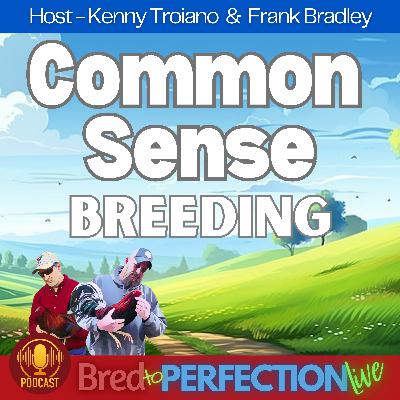 Ep281 - The War on Common Sense Breeding: Dispelling Myths and Misconceptions