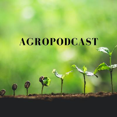 3-La importancia de las plantas- con Patricio Arcos 3-La importancia de las plantas- con Patricio Arcos