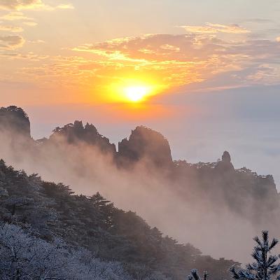 Vol.083 忽冷忽热的背后，是自卑，不是“性格”｜如何跳出情感操控的怪圈