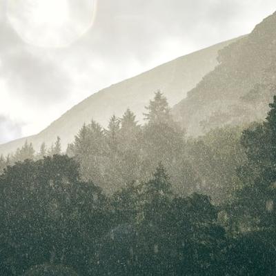Weather Forecast