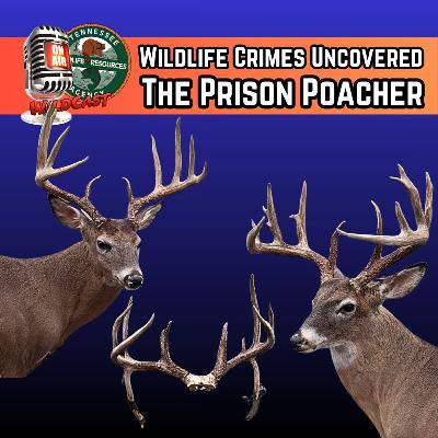 #474 Wildlife Crimes Uncovered: The Prison Poacher #474 Wildlife Crimes Uncovered: The Prison Poacher