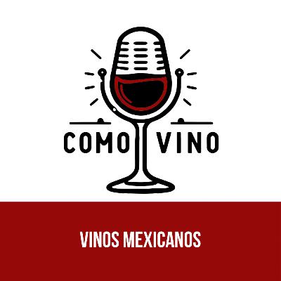 EP 05) Vinos Mexicanos