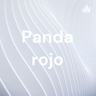 Panda rojo
