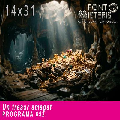 Un tresor amagat | Font de Misteris 14x31 (652) Un tresor amagat | Font de Misteris 14x31 (652)