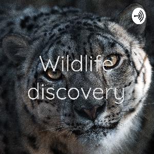 Mystery animal of the week # 3