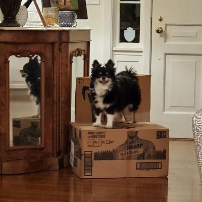 AFTER THE SHOW PODCAST: AI Issues. AFTER THE SHOW PODCAST: AI Issues.