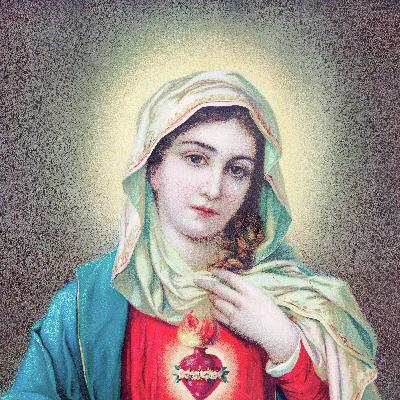 How Can I Defend the Teaching of Mary's Perpetual Virginity? (Special Podcast Highlight)
