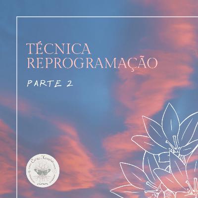 Técnica Reprogramação