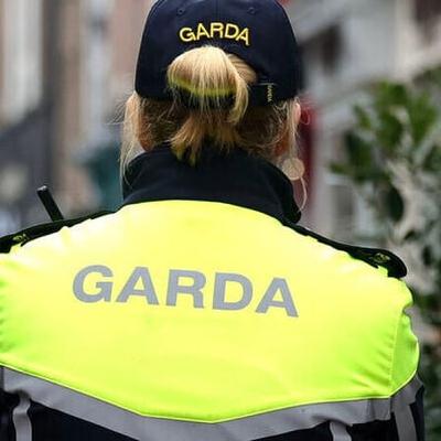 More than 100 gardaí to get tasers in pilot project More than 100 gardaí to get tasers in pilot project