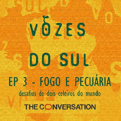 Fogo e pecuária: Desafios de dois celeiros do mundo