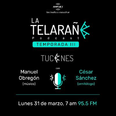 Tucanes