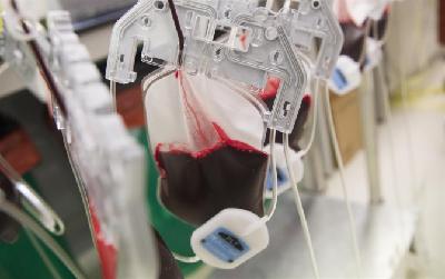 Dora Díaz: "Es importante donar antes, durante y después de los puentes festivos"