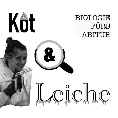 Resistenz von Antibiotika Resistenz von Antibiotika