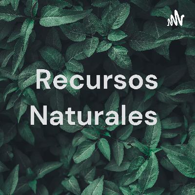 Podcast recursos naturales.