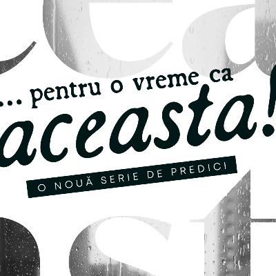 Nimic nu te mai satură - Cristi Sonea