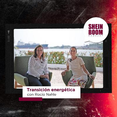 Transición energética con Rocío Nahle