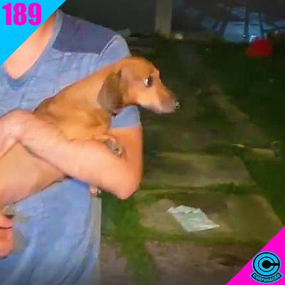 ROBINHO PRESO, MENINA DE 17 APLICANDO GOLPE E PRINCESA KATE COM CANCER! C.C.#189