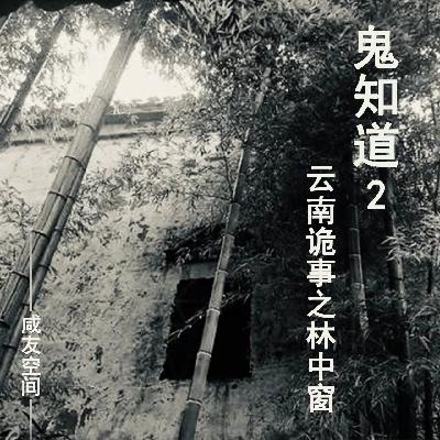 鬼知道II-云南诡事之林中窗
