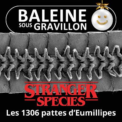STRANGER SPECIES 11/12 : Le seul Mille-pattes... qui en a VRAIMENT plus de 1000 !