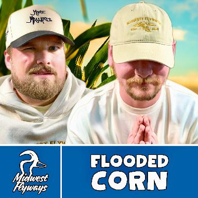 Flooded Corn