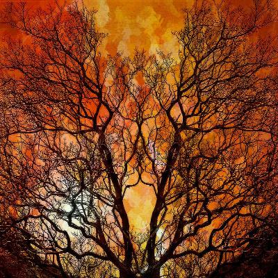 Forces Of Exile And Redemption : Part 7 of Thanks for the Miracles