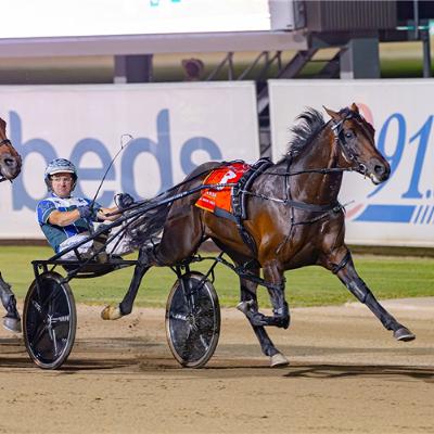 R&S Carnival Of Cups Preview - Wagga November 14
