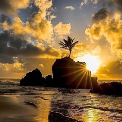 Meditación para Liberar los Miedos