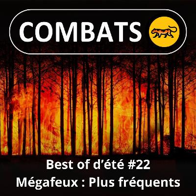 BEST OF D'ÉTÉ #22 : Mégafeux, de plus en plus fréquents 1/4