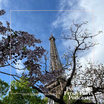 Spring Into Presence: Trees In Transition Spring Into Presence: Trees In Transition