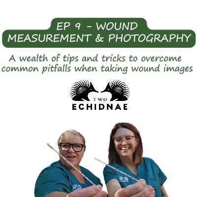 Ep9 - Wound Measurement and Photography