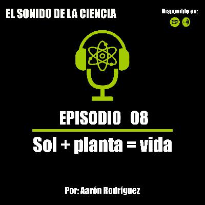 T1E08: Sol + planta = vida
