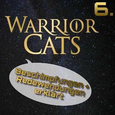 6. Beschimpfungen & Redewendungen erklärt 6. Beschimpfungen & Redewendungen erklärt