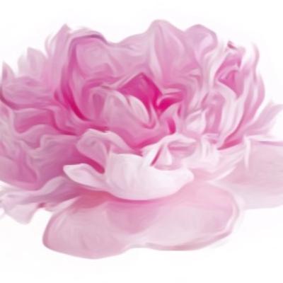 A come Acqua di Rosa