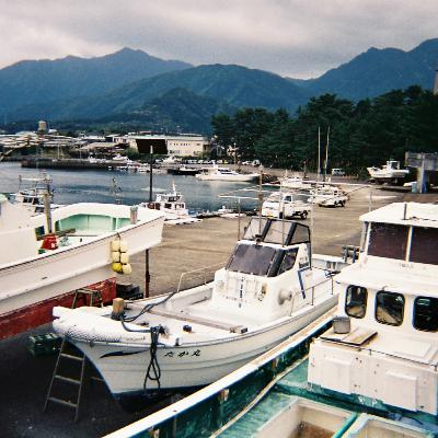 #50 屋久島 #50 屋久島