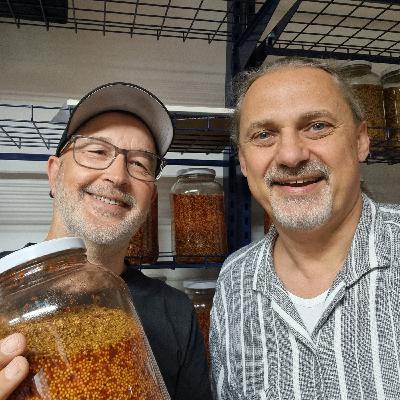 Suti kocht - Senfgold