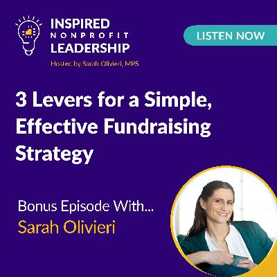 365: 3 Levers for a Simple, Effective Fundraising Strategy with Sarah Olivieri 365: 3 Levers for a Simple, Effective Fundraising Strategy with Sarah Olivieri