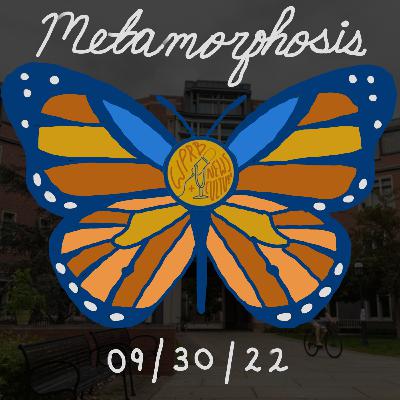 Metamorphosis