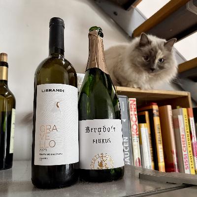 Blindflug 179: Wein und Sport Blindflug 179: Wein und Sport