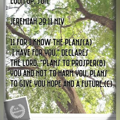 Freedom from Depression Freedom from Depression