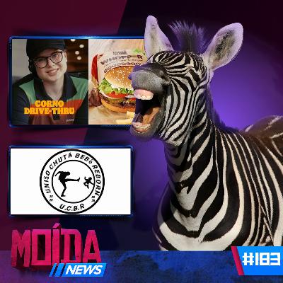 MoídaNews #183 › Homem AGR*D3 BEBÊ por achar que era REBORN/ Zebra fugitiva é resgatada de helicóptero